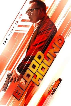 Ищейка онлайн