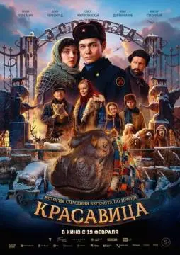 Красавица онлайн